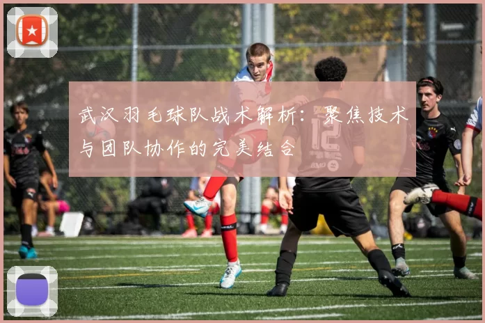 武汉羽毛球队战术解析：聚焦技术与团队协作的完美结合