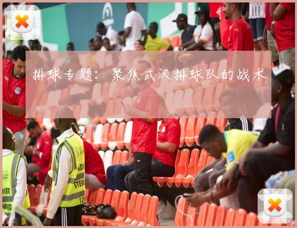 排球专题：聚焦武汉排球队的战术