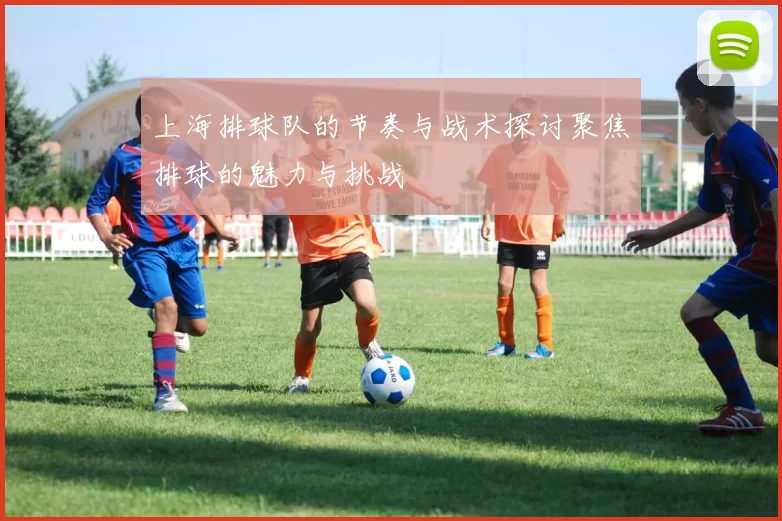 上海排球队的节奏与战术探讨聚焦排球的魅力与挑战