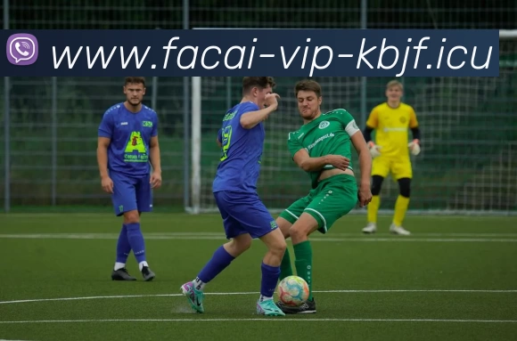 米兰体育全站App